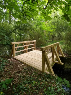 Passerelle en bois (35)