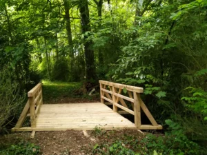 Passerelle en bois (35)